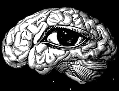Brain with eye — Thinspace